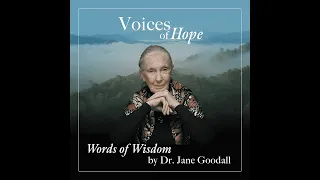 Voices of Hope ~ Words of Wisdom by Dr. Jane Goodall