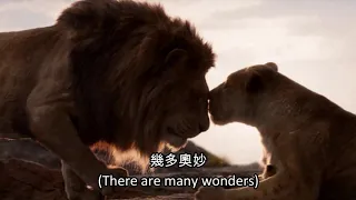 Lion King 2019 - Circle of life (Cantonese) Subs & Trans