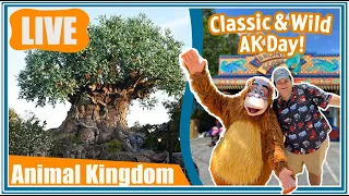 🔴Live: Wild Afternoon at Disney's Animal Kingdom! - Walt Disney World Livestream