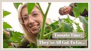 It's Time... The Tomatoes Have Got To Go!🍅 | May On The Plot 🌿 The Allotment Vlogs #35