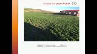 Grazing Cover Crops and Benefits for Livestock Operations - Craig Lang