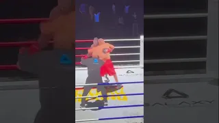 Roy Jones TKO NDO in strange Metaverse Fight