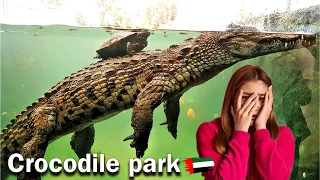 Crocodile Park Dubai Full Tour 2024| Dubai Crocodile Park 4k | Wild Life | Amazing Aquarium | Museum