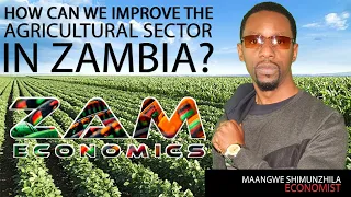 AGRICULTURE IN ZAMBIA - HOW CAN WE IMPROVE THIS SECTOR?