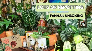 Ultimate repot with me (houseplants and veggies) + CUTEST fanmail UNBOXING