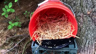 How To Make a Chicken Nesting Box Using a 5 Gallon Bucket