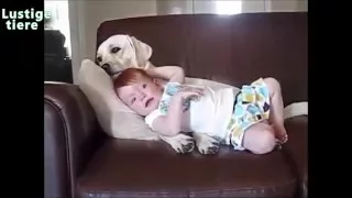 Dogs And Babies Are Best Friends Talking Playing Together "Compilation" (Part 4)