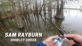 Lake Sam Rayburn - Shirley Creek