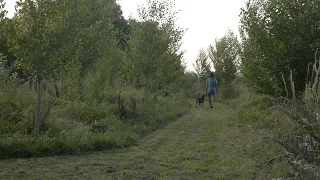 Abundancia siempreverde (2022) - Documental de bosques comestibles en Chile