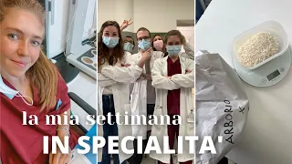 LA MIA SETTIMANA DA SPECIALIZZANDA in scienza dell'alimentazione | balanceishappinss