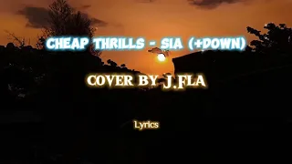 Cheap Thrills - Sia (+Down) cover by J.Fla (Lyrics) #lyrics #music #lirik #liriklagu