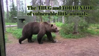 NIGHTMARISH Forest in Finland 🇫🇮 - Frightening Huge Bear