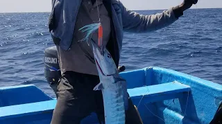 how  to catch wahoo king fish # catch skills] amazing  fishing) in Indian Ocean 2021