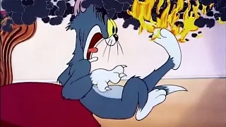 Tom & jerry Cartoon 39 Episode - Polka