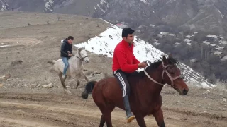 Tivi Bist atları Ağdüzdə yarışda
