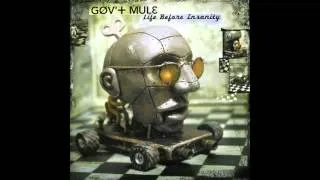 GOV'T MULE  Life Before Insanity (Life Before Insanity)