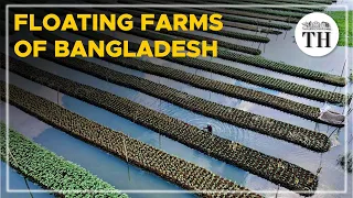 How floating farms help during floods