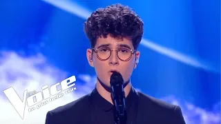 Daniel Balavoine - SOS D'un Terrien En Détresse | Gjon's Tears | The Voice 2019 | Live Audition