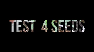 TEST 4 seeds 2-я неделя