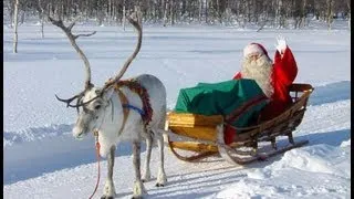 Reno & Papá Noel 🎅🦌 Los secretos de renos de Santa Claus Laponia Finlandia Rovaniemi Polo Norte