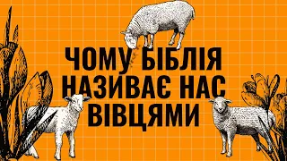 ЕЙ, ВІВЦІ! Бог у Біблії глузує з людей? 8 причин, чому Біблія називає нас вівцями...