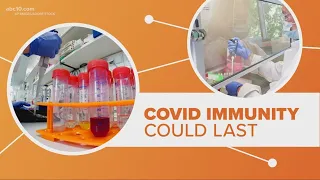 COVID-19 natural immunity vs. vaccine vs. booster shots | Connect the Dots