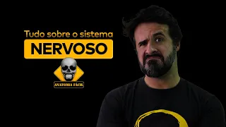 TUDO QUE VOCÊ PRECISA SABER SOBRE O SISTEMA NERVOSO!