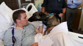 Injured Auburn officer visited by K9 partner