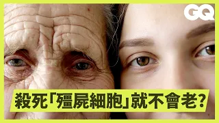 人有可能返老還童嗎？科學家證實正在研發減緩老化秘方！ The Science of Slowing Down Aging｜科普長知識｜GQ Taiwan