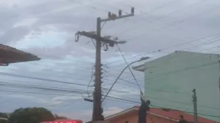 Bombeiro leva choque ao tentar retirar pássaro da rede elétrica em Capinzal