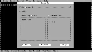 MS-DOS VM