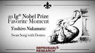 "Swan Song with Domos"– an Ig Nobel Prize favorite moment