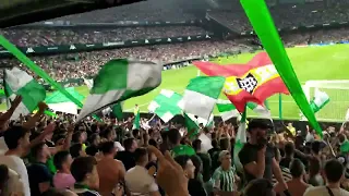 Canticos del Betis ||20 minutos de puro cántico del REAL BETIS BALOMPIE