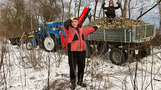 Все буде Україна! Заготівля безплатних дров, дві години часу, а тепла на місяць - ARPAL АМ-120ТР MAX