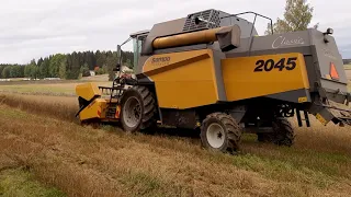 Kauran puintia 2021   2   sampo rosenlew 2045 .harvesting oat crop