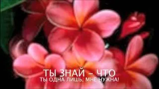 Стас Михайлов - Только ты