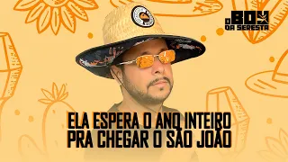 ELA ESPERA O ANO INTEIRO PRA CHEGAR O SÃO JOÃO - O BOY DA SERESTA (KAROLINA VAI NO CHÃO)