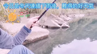 冬天的天氣難得好轉，趕快去下杆，釣個兩小時的魚過過癮～