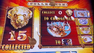 15 HEADS ABSOLUTELY MASSIVE JACKPOT!!! (BUFFALO GOLD)