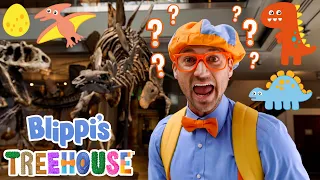 Blippi's Dinosaur Museum Field Trip! | Blippi's Treehouse | Fun and Educational Videos for Kids
