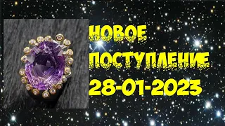 Новое поступление 28-01-2023