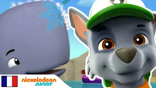 Paw Patrol : la Pat'Patrouille | Baleines 🐳| Nick Jr.