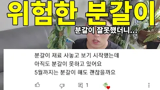 위험한 분갈이