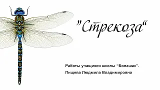 "Стрекоза". Рисунки учащихся школы "Болашак". Руководитель Пищева Людмила Владимировна.