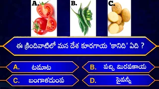 knowledgeable Questions In Telugu | Episode - 95 | By Rk thoughts | General Knowledge |Unknownfacts