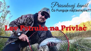 Lov na Prívlač/Lov Pstruha na Prívlač/Lov Pstruha na Priesakovom kanáli/#spinning #troutfishing