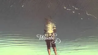 Chelsea Lankes & EMBRZ - Visions (DJ Topsider Mix) [Lyrics]