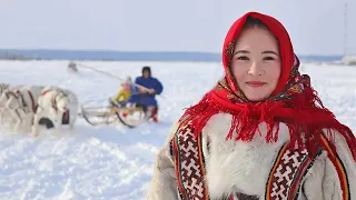 How and how much the Nenets earn. Sale of reindeer, rent of lands. Taxes and pension in tundra|Facts