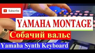 СОБАЧИЙ ВАЛЬС ★  ИГРАЕТ ПИАНИСТ ВИРТУОЗ НА YAMAHA MONTAGE #DEMO Делимся этим видео!!! 🎧 ★