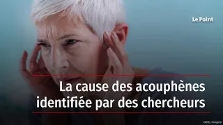 La cause des acouphènes identifiée par des chercheurs